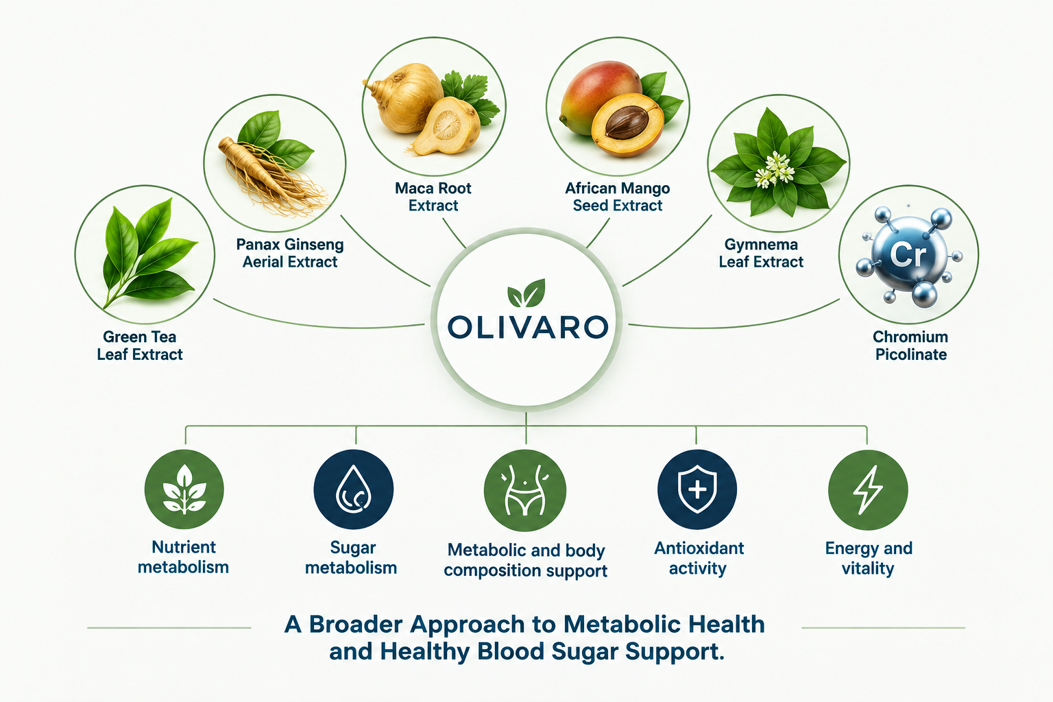 How Olivaro's Ingredients Work Together