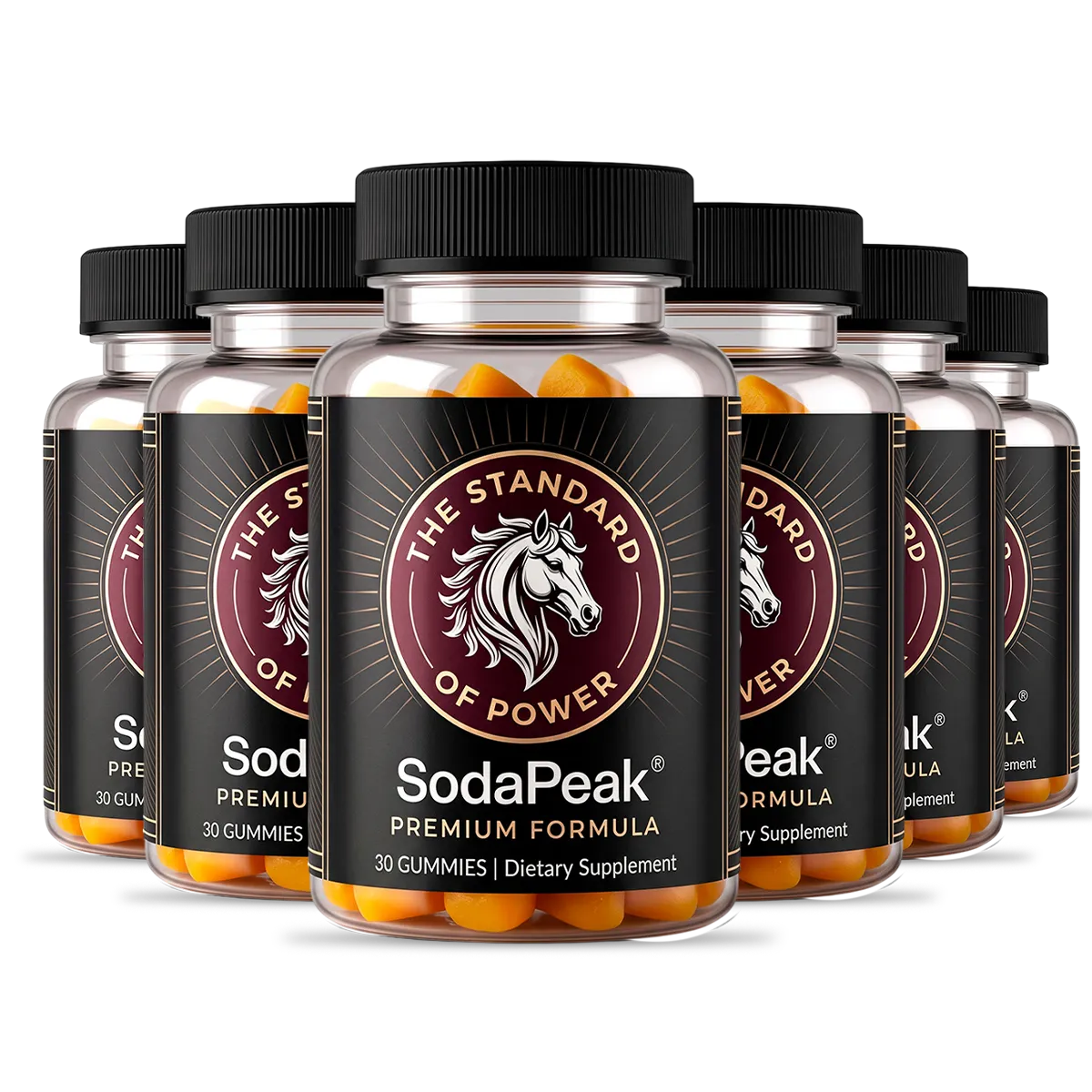 6 Bottles SodaPeak